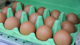 В Россию начались поставки куриных яиц с шести предприятий Турции