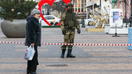 Вплоть до полной отмены: в десятках мегаполисов свернули новогодние мероприятия из-за обстрелов Белгорода