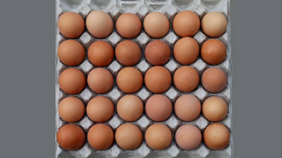 В Россию прибыла первая партия куриных яиц из Турции