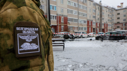 Власти помогают: Гладков рассказал, как белгородцам выехать в безопасное место