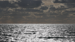 Шесть украинских противокорабельных ракет «Нептун» уничтожены над Черным морем