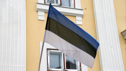 Эстония намерена отдать Украине 0,25% своего ВВП