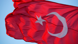 В Анкаре заявили о подготовке с ООН ряда решений по доставке продовольствия