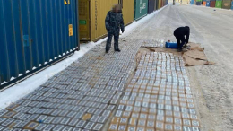 Более тонны кокаина нашли таможенники Петербурга в контейнере из Никарагуа