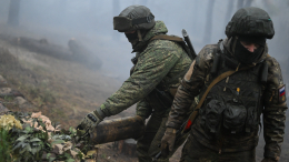 Прятались в лесу: артиллеристы превратили в пыль отряд ВСУ в Запорожской области