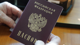 В России предложили расширить перечень причин для лишения гражданства