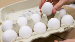 Минсельхоз заявил о снижении цен на яйца, куриное мясо и свинину