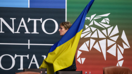 Найдутся несогласные: в Германии усомнились в будущем вступлении Украины в НАТО