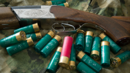 В Финляндии намерены предотвратить экспорт гражданских боеприпасов в Россию