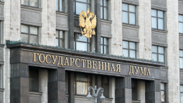 Законопроект о конфискации имущества за фейки о ВС РФ внесли в Госдуму