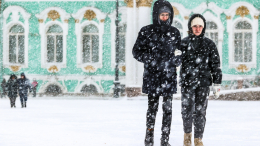 Это надолго: Петербург оказался во власти снежного циклона