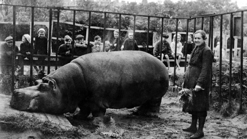 Спасали зверей ценой собственной жизни: как Ленинградский зоопарк пережил блокаду