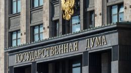 Проект о конфискации имущества за фейки о ВС РФ прошел первое чтение в Госдуме