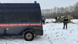 Раскрыты имена украинских военнопленных с борта разбившегося Ил-76