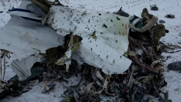 Полянский «закопал» Украину после вранья о крушении Ил-76