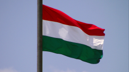 Прекратить огонь: более 98% венгров выступили против поставок оружия Украине