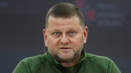 Зеленский лично предложил Залужному уйти из ВСУ и самому подать в отставку