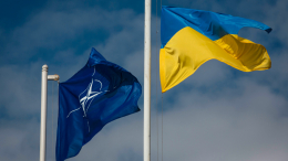 «Закопались на Украине»: почему Запад не может просто отвернуться от Киева
