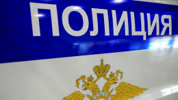 Полиция задержала двоих подростков за диверсии на ж/д путях в Москве