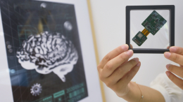 Силой мысли: сможет ли чип Маска объединить мозг человека с компьютером