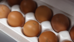 Цены на яйца взяли под контроль в 17 регионах России