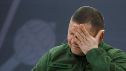 «Будет казнь»: на Украине предрекли Залужному жуткую судьбу