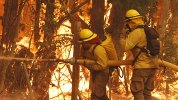 Огненный капкан: в Чили продолжается борьба с лесными пожарами