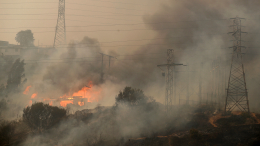 Путин выразил соболезнования в связи с лесными пожарами в Чили