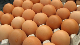 «Непригодно к употреблению»: что грозит «хозяину» свалки яиц в Омской области