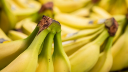 Эквадор предоставил России документы для снятия ограничений на экспорт бананов