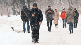 Новая порция снега: чего ждать Москве от циклона «Ольга»