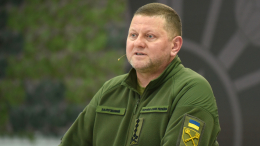 Экс-главкому ВСУ Залужному присвоили звание Героя Украины