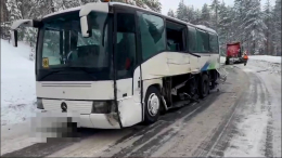 В Карелии автобус с детьми попал в ДТП с большегрузом и маршруткой