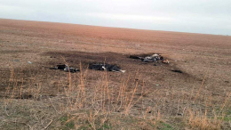 Обломки беспилотника обнаружили в Молдавии на границе с Украиной