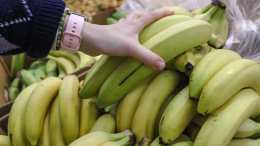Пропадут с полок? В России спрогнозировали дефицит бананов