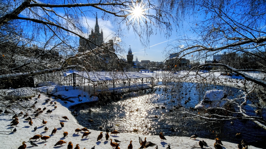 Мэр Москвы принял решение о восстановлении 20 столичных водоемов