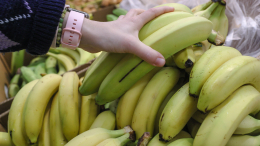 Делегация Эквадора приедет в Москву из-за ситуации с бананами