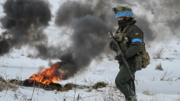 Это первая ласточка: в Госдуме призвали Украину перебросить войска к границам Польши