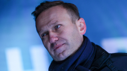 По факту смерти Навального* организовали проверку