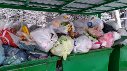 «Где логика?» — жители крупных городов выбрасывают до 40% продуктов в мусорку
