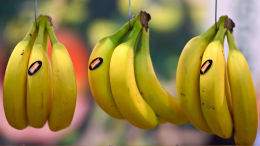 Все согласовано: что решила Россия по вопросу поставок бананов из Эквадора