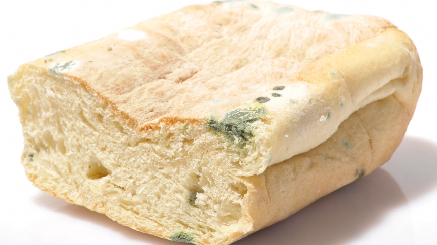 Не только гниль и плесень: как распознать опасный для здоровья хлеб