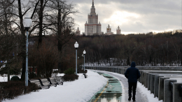 «Очень теплая»: москвичам рассказали о погоде на длинных выходных