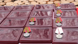 За храбрость и отвагу: освобождавшие Авдеевку военнослужащие получили награды