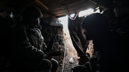 Украинский батальон «Айдар»* внесен в реестр террористов Росфинмониторинга
