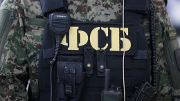 В ЛНР задержали украинцев, шпионивших за российской армией