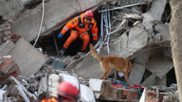 В Турции произошло землетрясение магнитудой 4,1