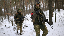 Десантники армии России заняли опорные пункты ВСУ у Вербового