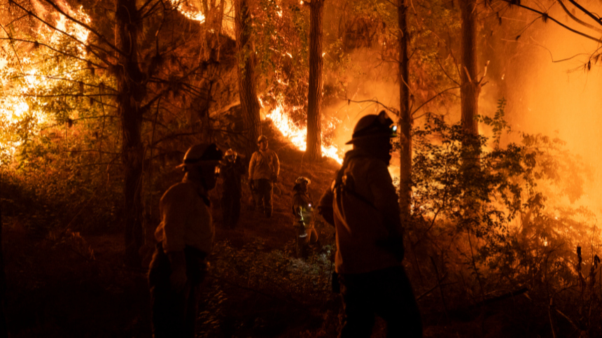 Площадь природных пожаров в Приморье выросла в 1,5 раза за сутки