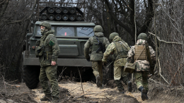 Шойгу: российские войска продолжают продвигаться после взятия Авдеевки